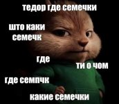 IMG_20260324_185019_260.jpg